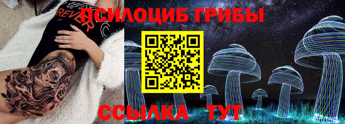 Галлюциногенные грибы Cubensis  Вход с VPN  Серов 
