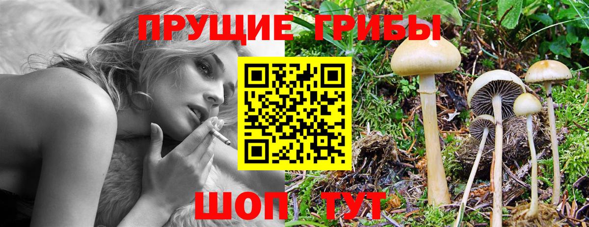 Псилоцибиновые грибы ЛСД Серов